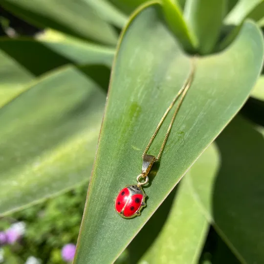 18k Gold Filled Ladybug Enamel Earrings Pendant