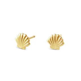 Seashell Stud Earrings