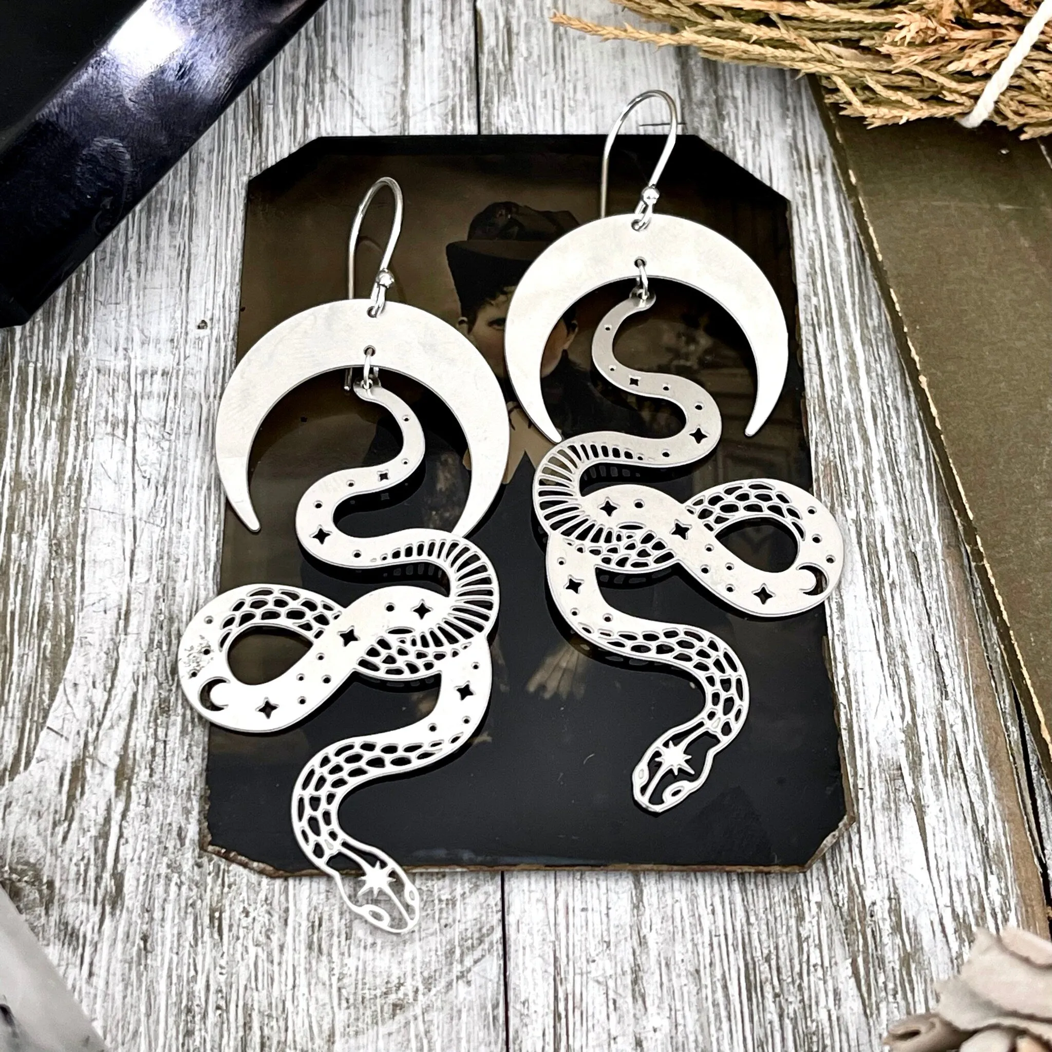 Snake and Moon Earrings Sterling Silver & Stainless Steel Earrings/ Moon Earrings